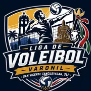 Liga Voleibol Varonil